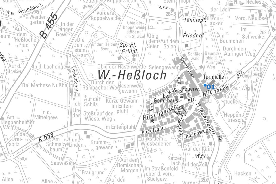 Übersichtskarte vom Ortsbezirk Heßloch mit Punkten und Nummern der Baulücken