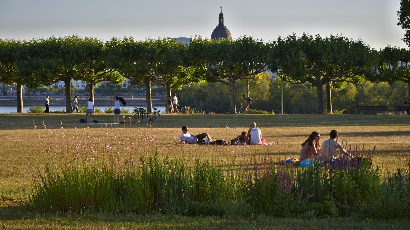 Menschen liegen und sitzen im Park am Wiesbadener Rheinufer in Mainz-Kastel.
