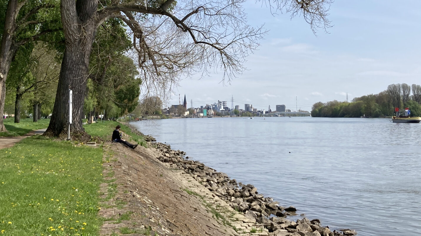 Хората седят на брега на Рейн с изглед към водата.