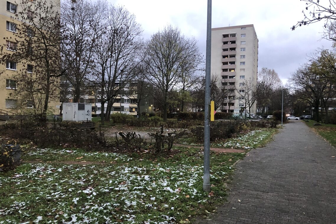 Zurückgeschnittene Hecken entlang der zentralen Fußwegeverbindung durch den Sampel