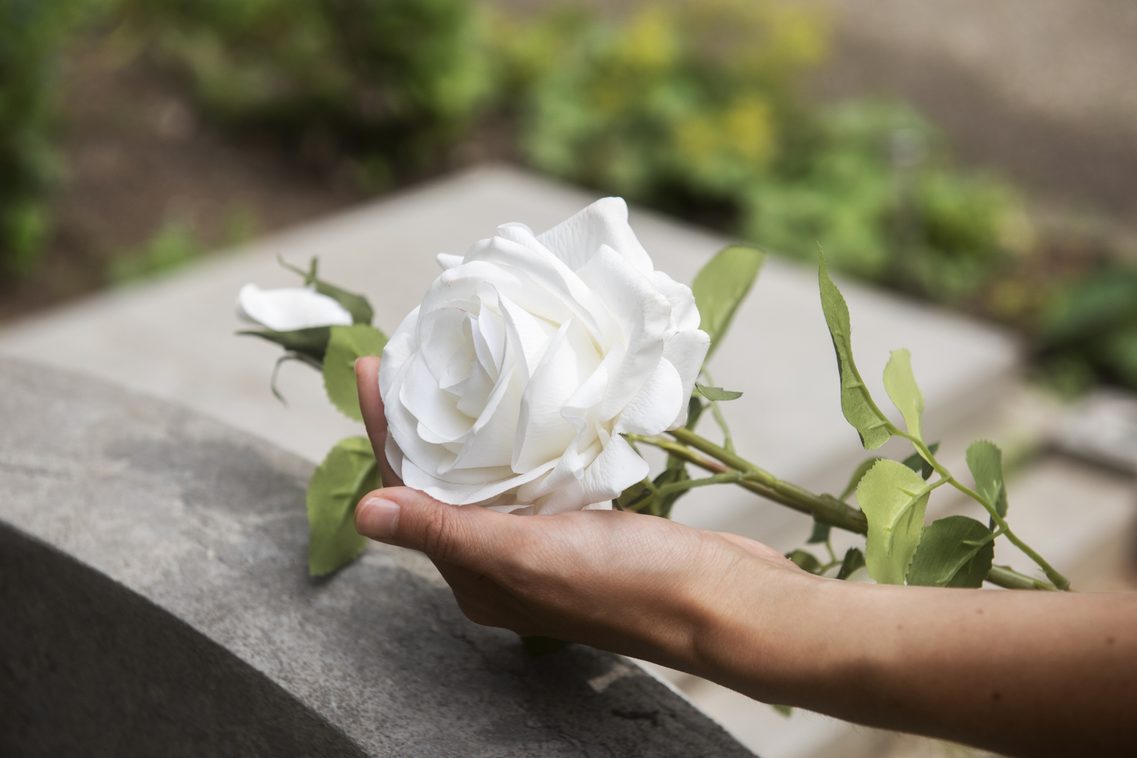 Rose auf Grab