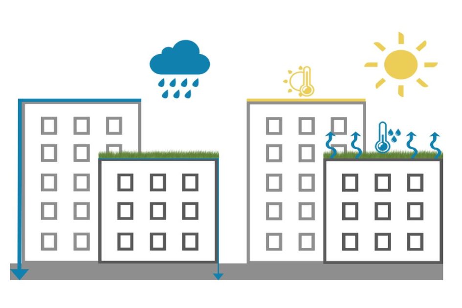 Vergleich von Gebäuden mit und ohne begrünte Dächer bei Regen und Sonnenschein, zeigt Temperatur- und Feuchtigkeitsunterschiede.
