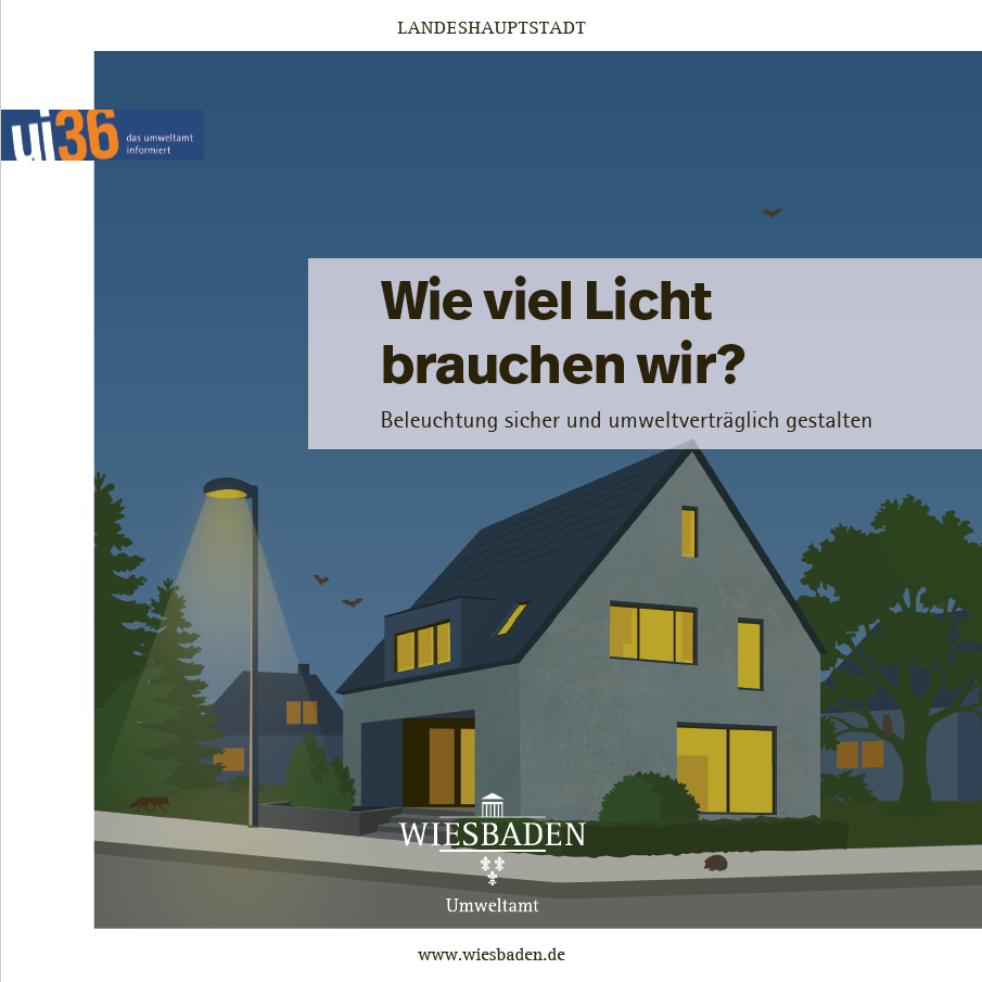 Illustration eines Wohnhauses bei Nacht mit beleuchteten Fenstern und einer Straßenlaterne, darüber der Text 'Wie viel Licht brauchen wir? Beleuchtung sicher und umweltverträglich gestalten'