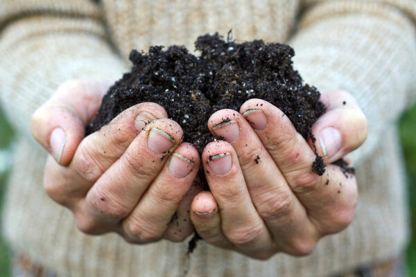 zwei vorgestreckte Hände sind wie eine Schale geformt und halten dunkle Erde