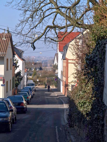 Bornstraße