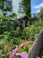 41. Bild: Eingereichtes Foto beim Wettbewerb "Blühende Vorgärten"