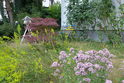 1. Bild: Eingereichtes Foto beim Wettbewerb "Blühende Vorgärten"