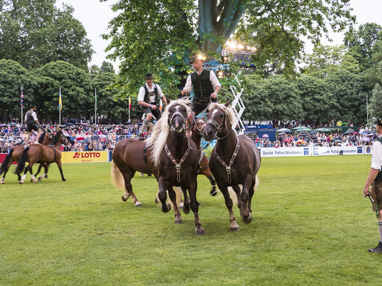 Wiesbadener Pferdenacht 2022