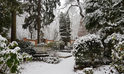 Ein Besuch auf dem Nordfriedhof in Wiesbaden im Winter 2021.
