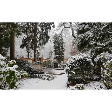 Ein Besuch auf dem Nordfriedhof in Wiesbaden im Winter 2021.
