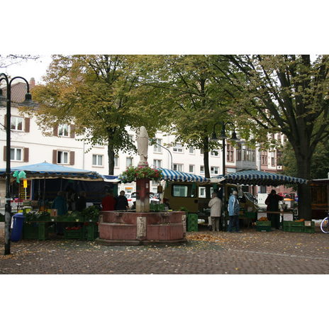 Foto Wochenmarkt Biebrich
