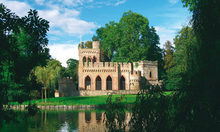 Die Ruine der Mosburg im Biebricher Schlosspark spiegelt sich bei Schönwet