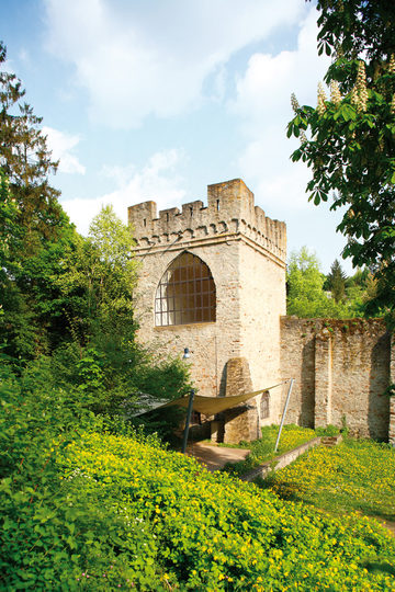 Burg Sonnenberg.