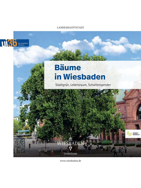 Titelseite der Broschüre Bäume in Wiesbaden. Stadtgrün, Lebensraum, Schattenspender. Großes Bild eines grün belaubten Baums auf einem Platz vor einem roten Steingebäude, unter dem Baum laufen Menschen. Abgebildet sind auch die Logos von der Landeshauptstadt Wiesbaden.