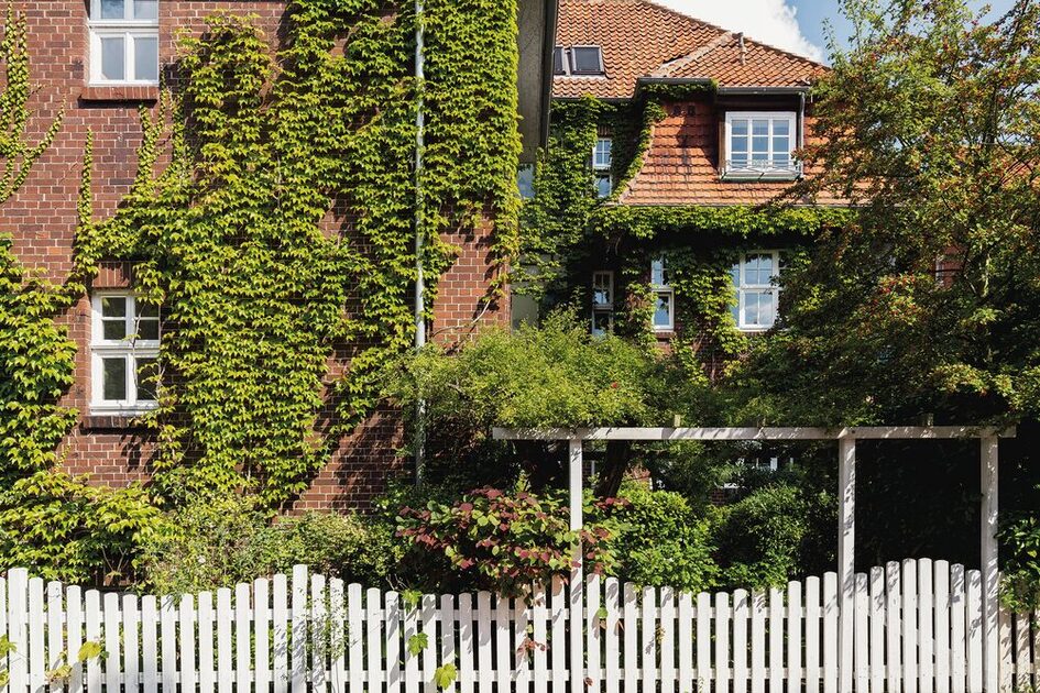 mit wildem Wein bewachsene Hausfassade