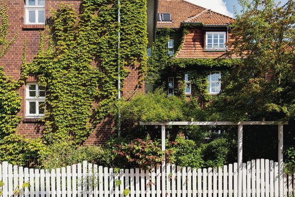 mit wildem Wein bewachsene Hausfassade