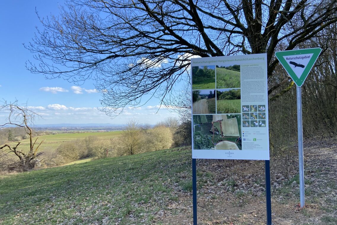 Infotafel mit Fotos und Schild Naturschutzgebiet, dahinter steht ein Baum. Aussicht über weitläufige grüne Landschaft mit einem blauen Himmel.