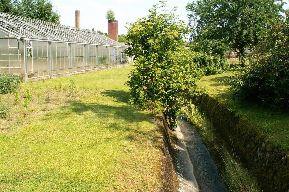 Струмок у бетонному профілі, невеликі дерева і теплиці розплідника ліворуч.