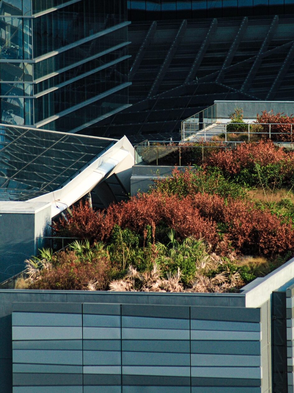 Giardino pensile con varie piante e arbusti su un edificio moderno con facciata in vetro.