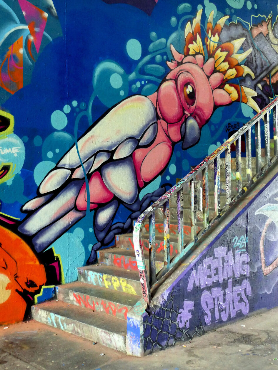 An einem Treppenaufgang ist ein Graffiti zu sehen. Es zeigt einen bunten Kakadu auf blauem Grund.