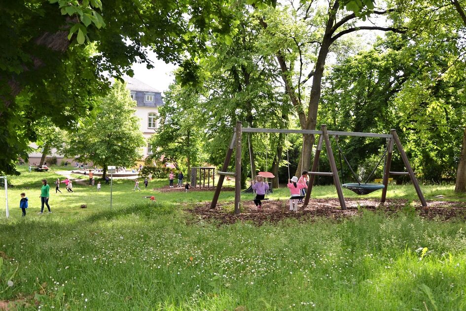 The outdoor area with a large old tree population and lots of meadow. In the foreground is a scaffolding with swings.