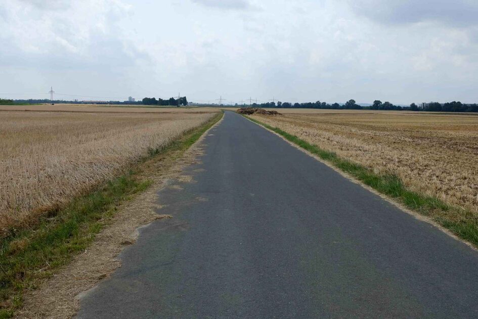 Ein asphaltierter Feldweg in offener Landschaft, links und rechts abgemähte Felder, im Hintergrund Bäume und Strommasten.