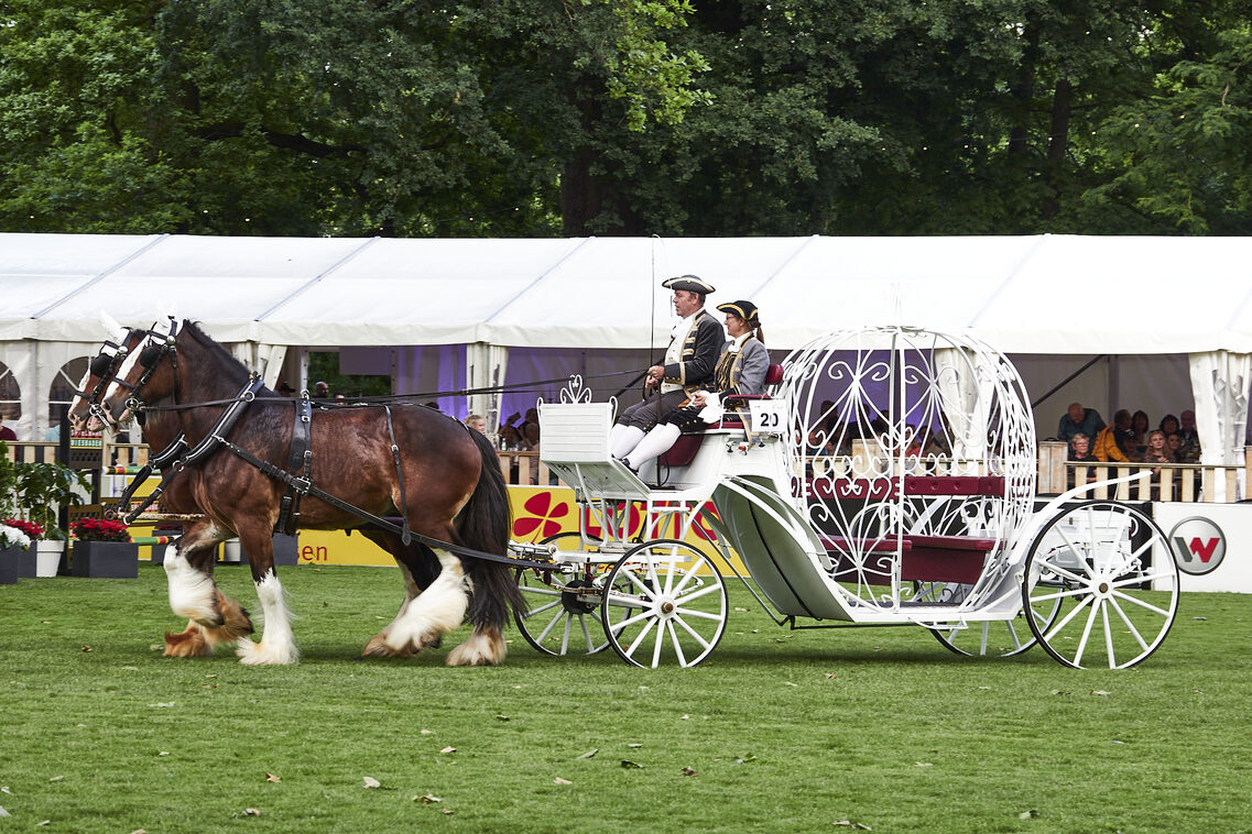 Кінська ніч 2025