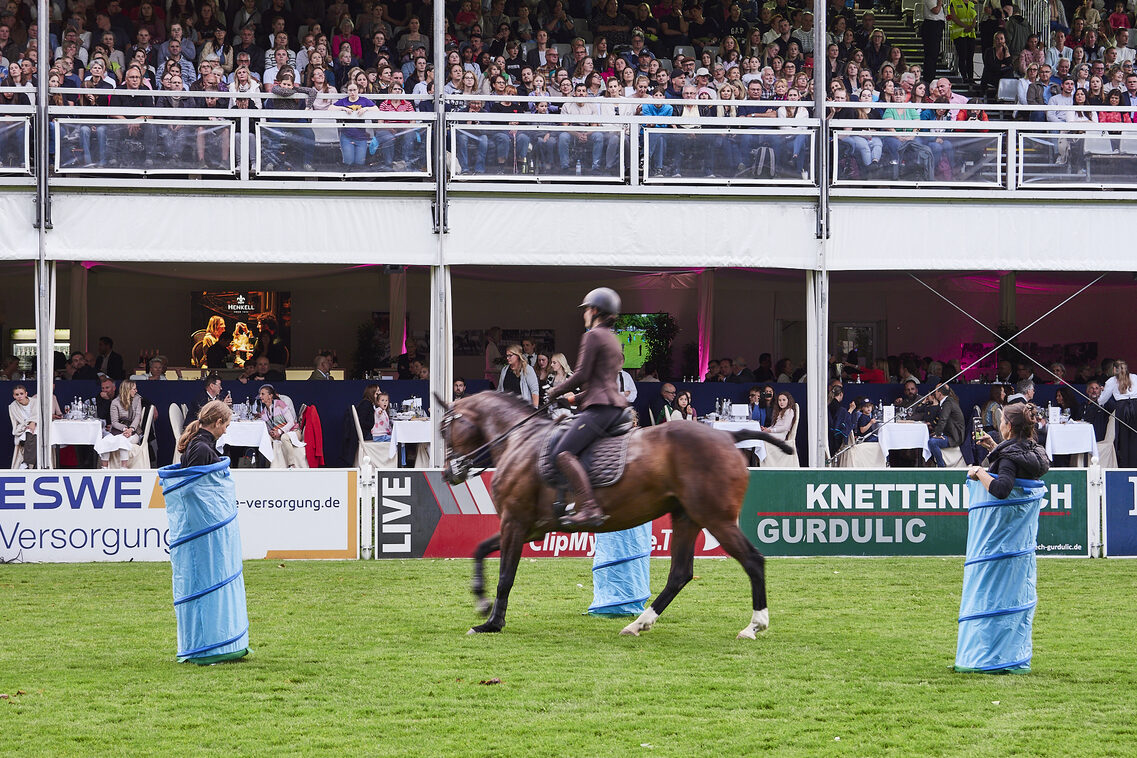 Кінська ніч 2025