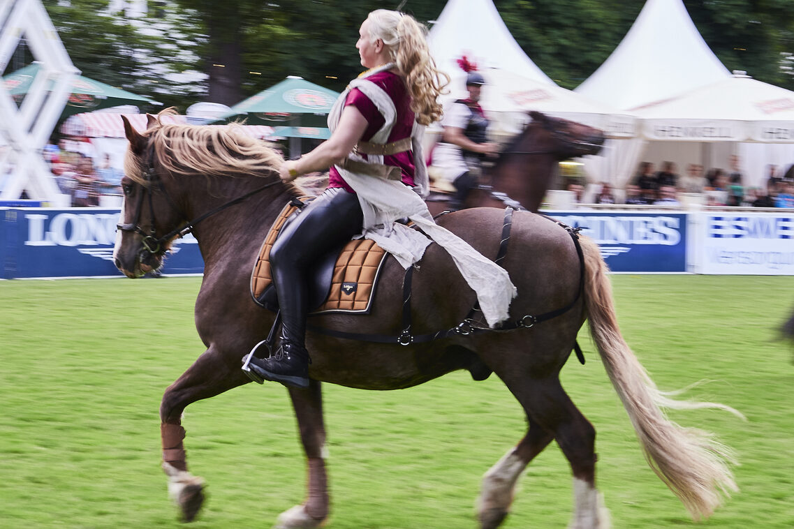 Кінська ніч 2025