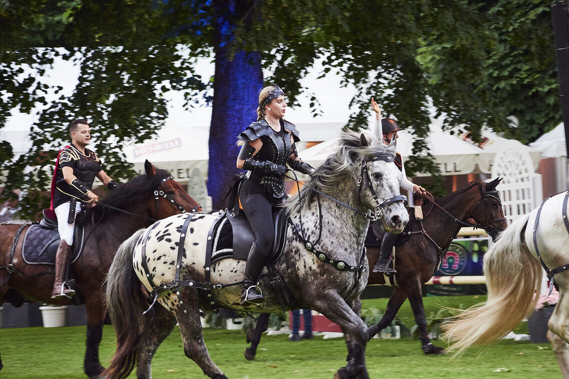 Кінська ніч 2025