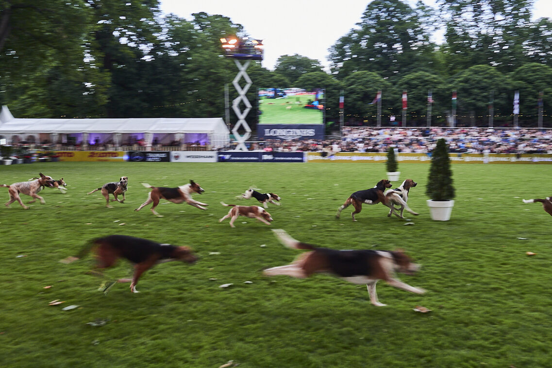 Кінська ніч 2025