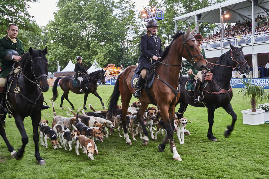 Кінська ніч 2025