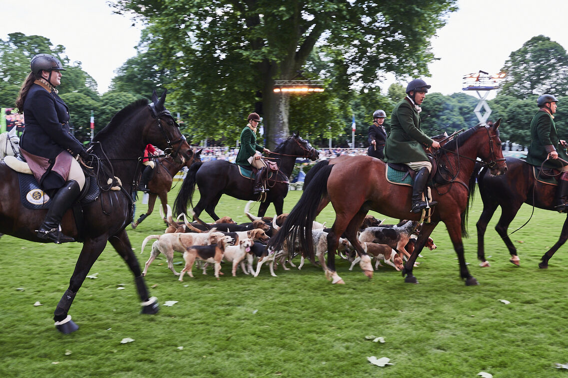 Кінська ніч 2025