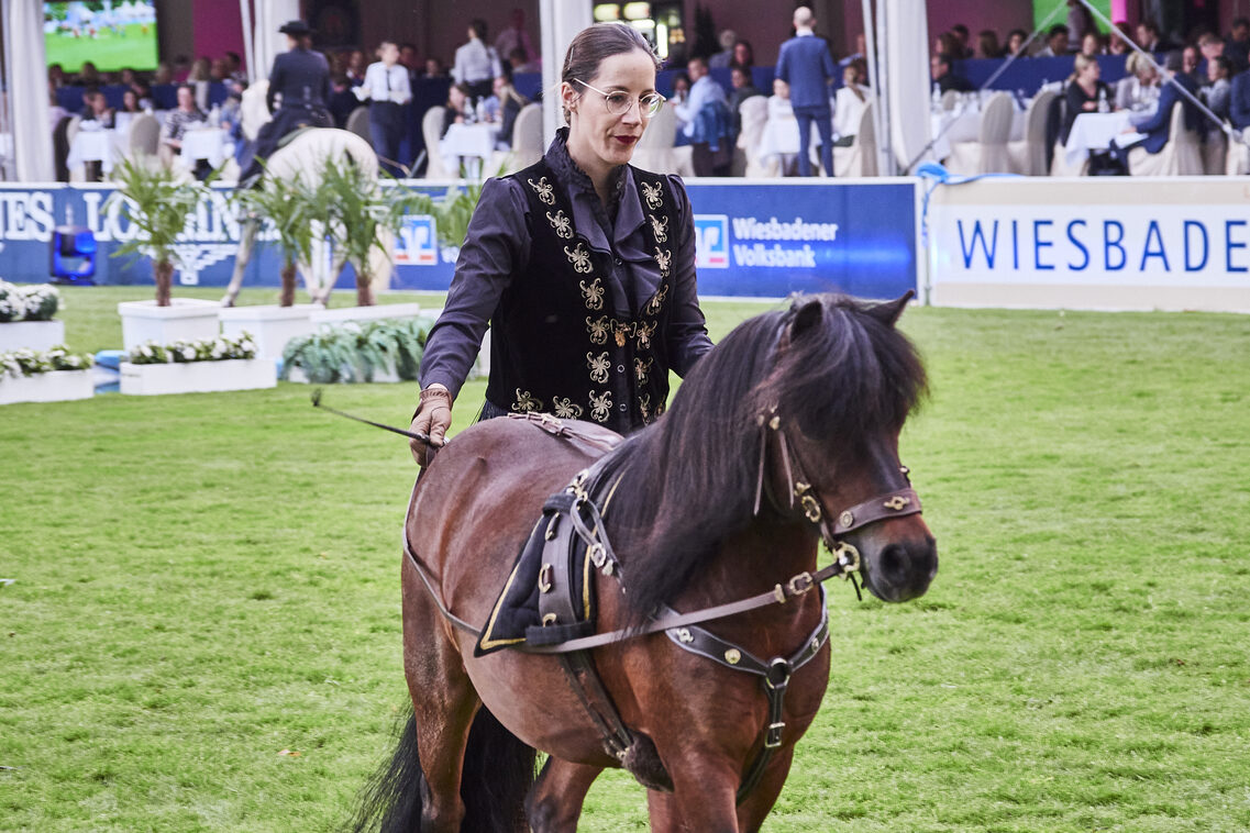 Кінська ніч 2025