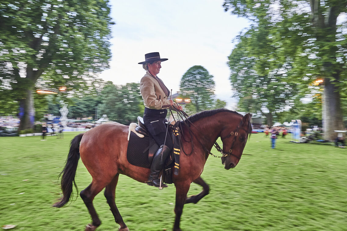 Кінська ніч 2025