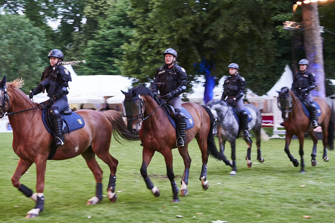 Кінська ніч 2025