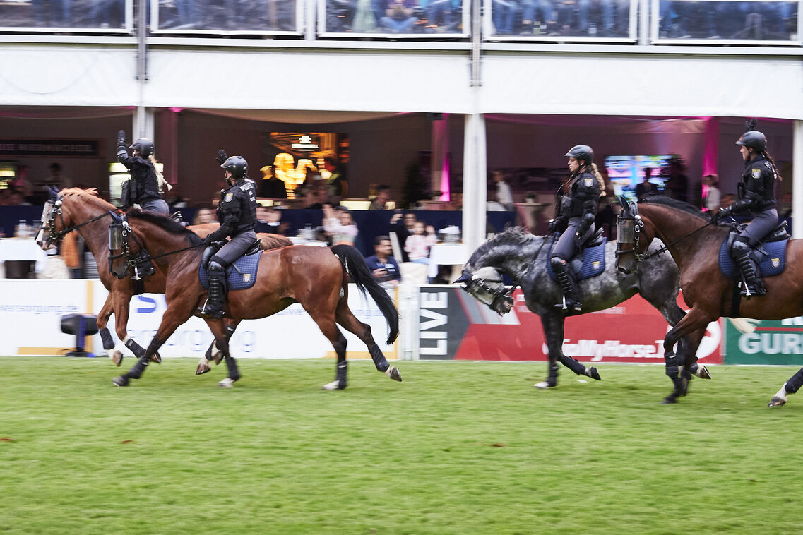 Кінська ніч 2025