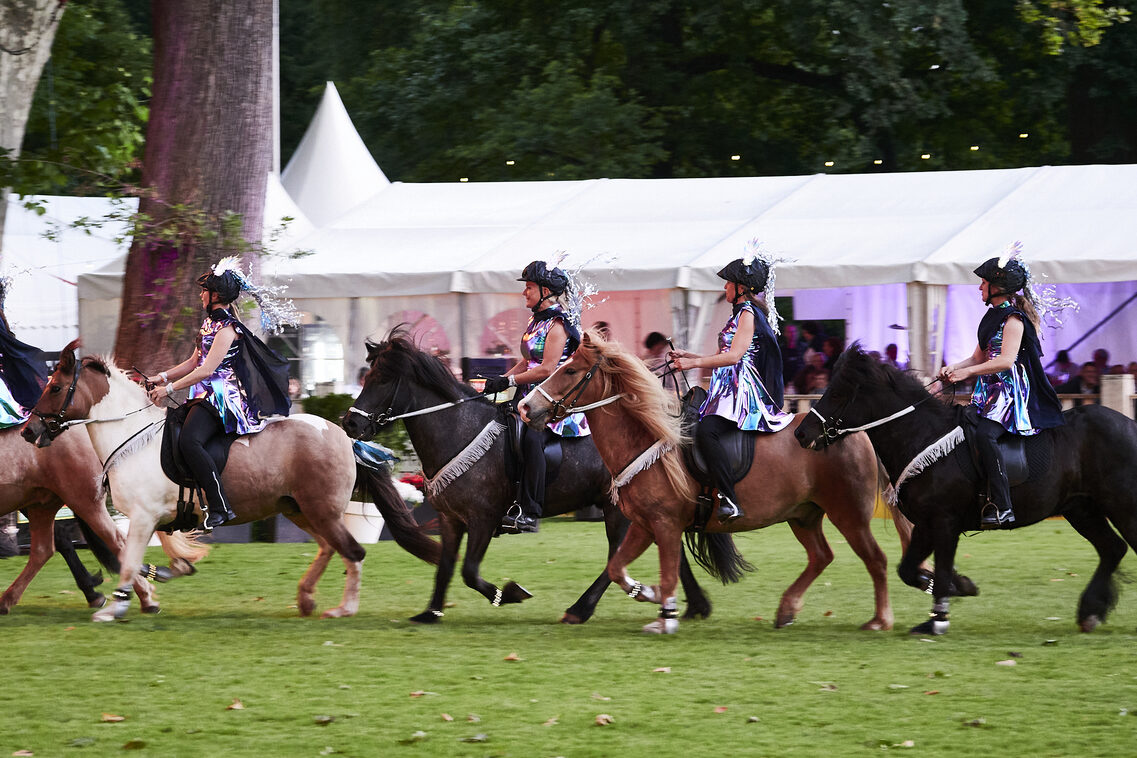 Кінська ніч 2025