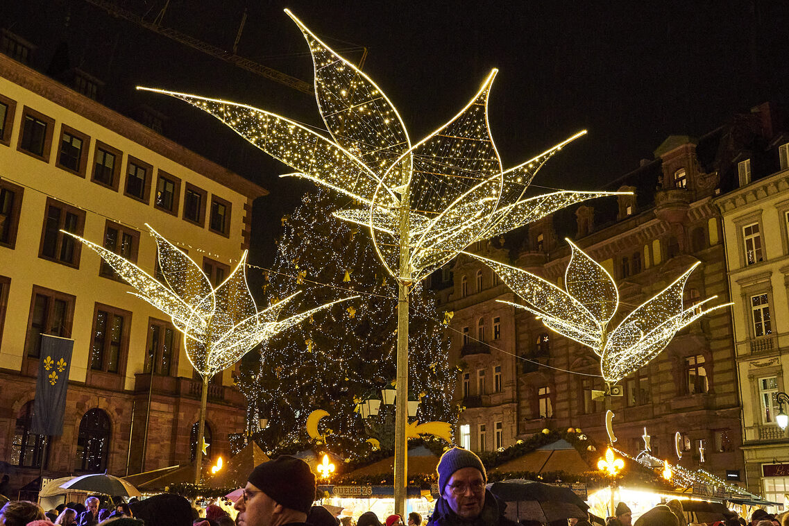 Apertura del mercado de estrellas fugaces 2025