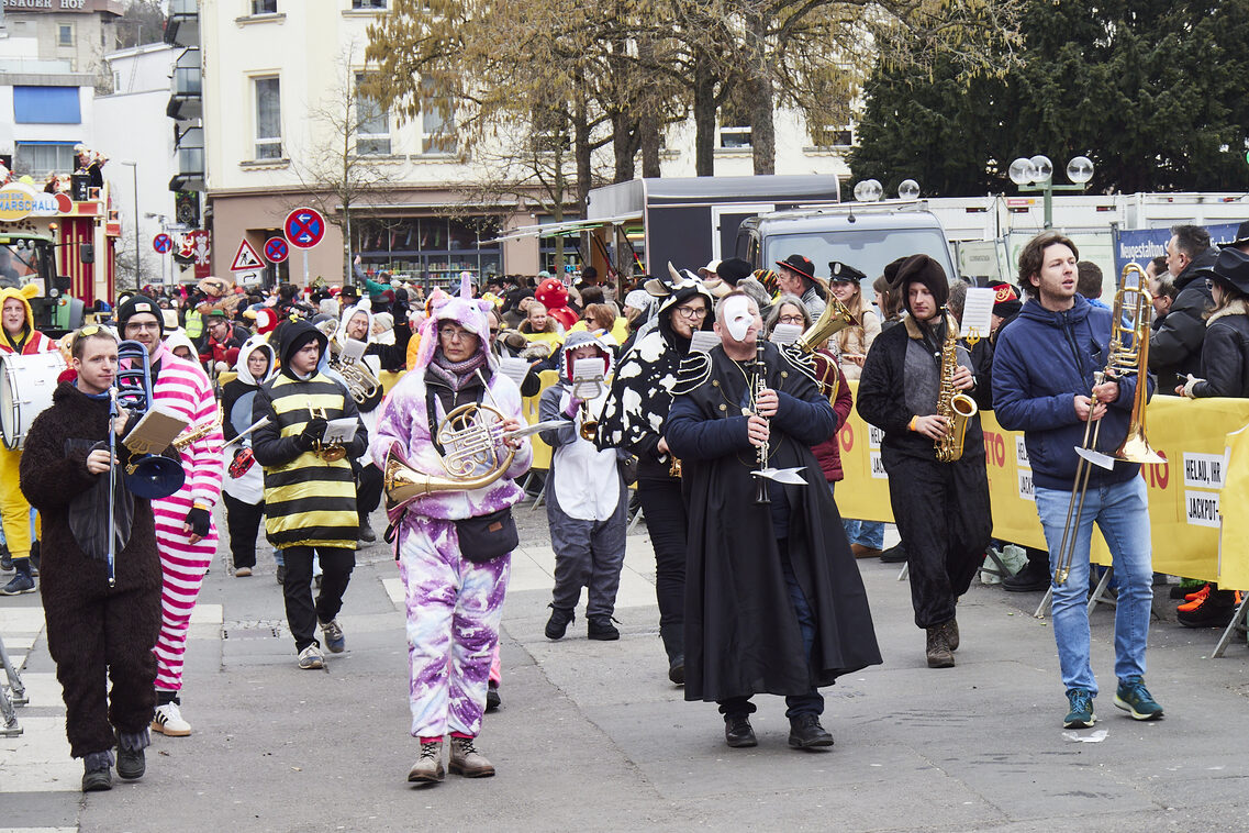 Desfile del domingo de carnaval de Wiesbaden 2026