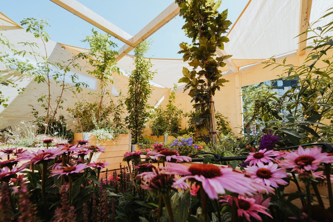 Klima-Kiste in Wiesbaden