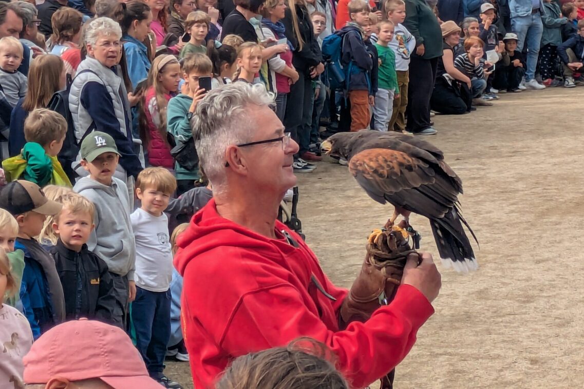 Römerfest Wiesbaden