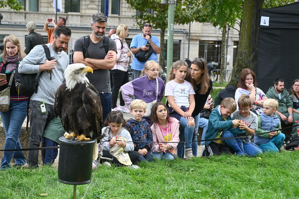 Römerfest Wiesbaden