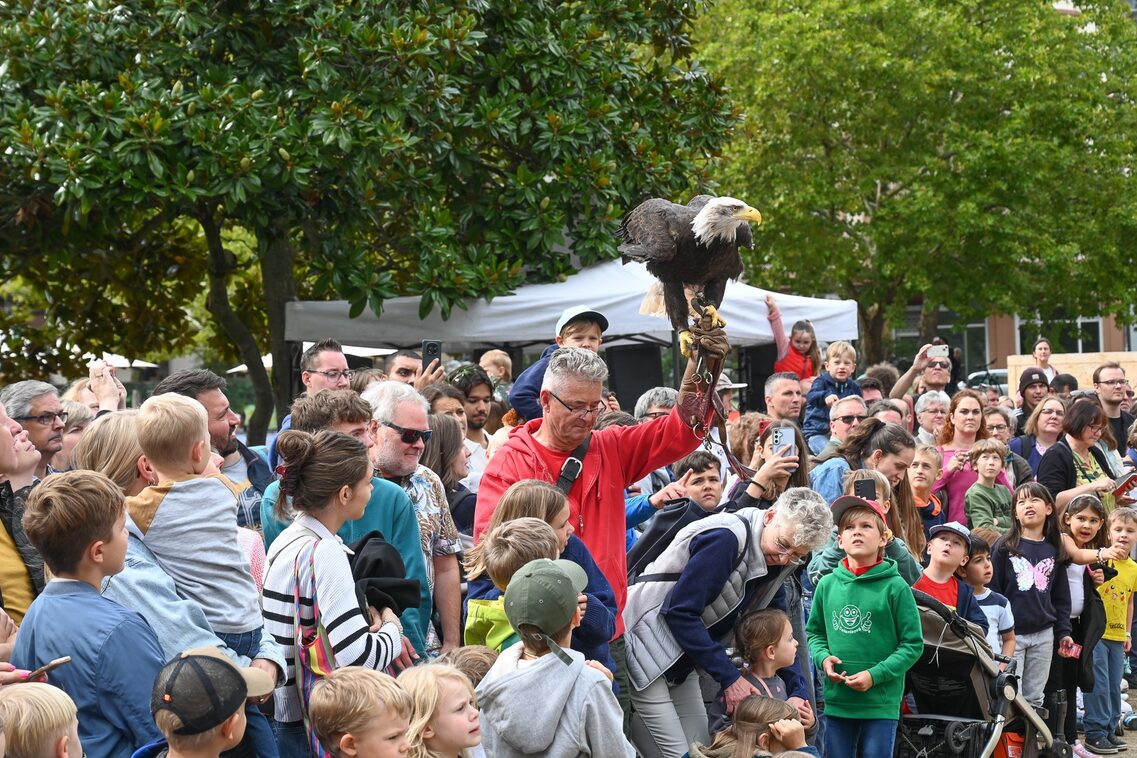 Römerfest Wiesbaden