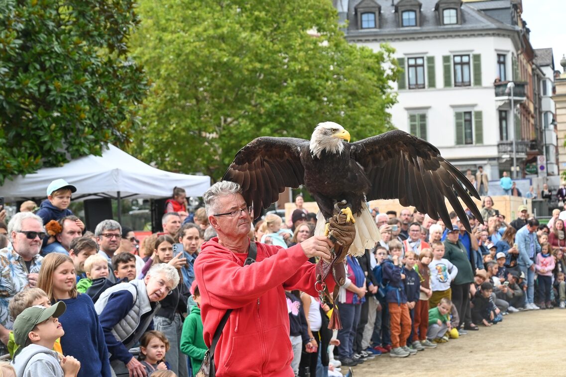 Römerfest Wiesbaden