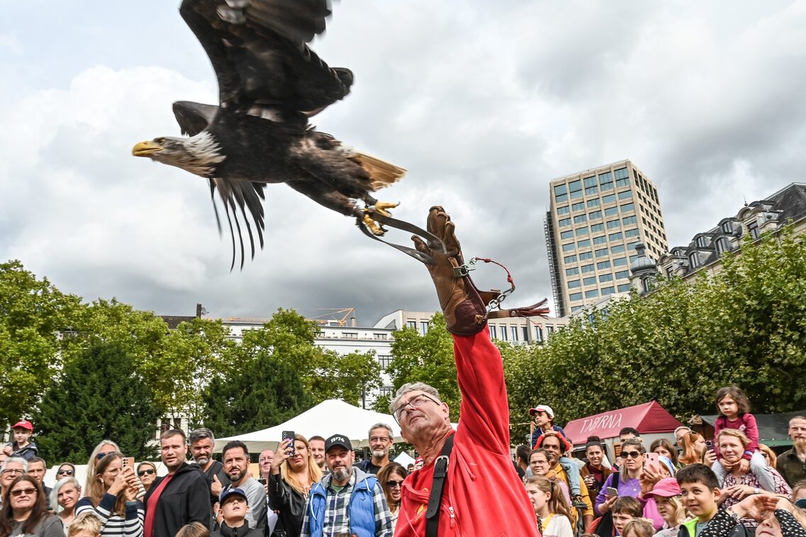 Römerfest Wiesbaden