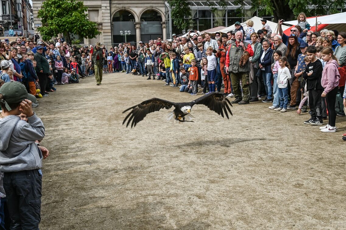 Römerfest Wiesbaden
