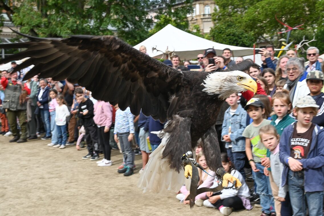 Römerfest Wiesbaden