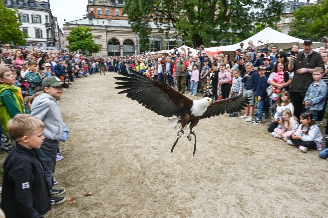 Römerfest Wiesbaden