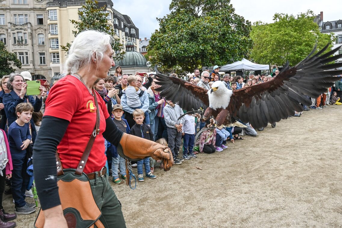 Rämerfest Wiesbaden